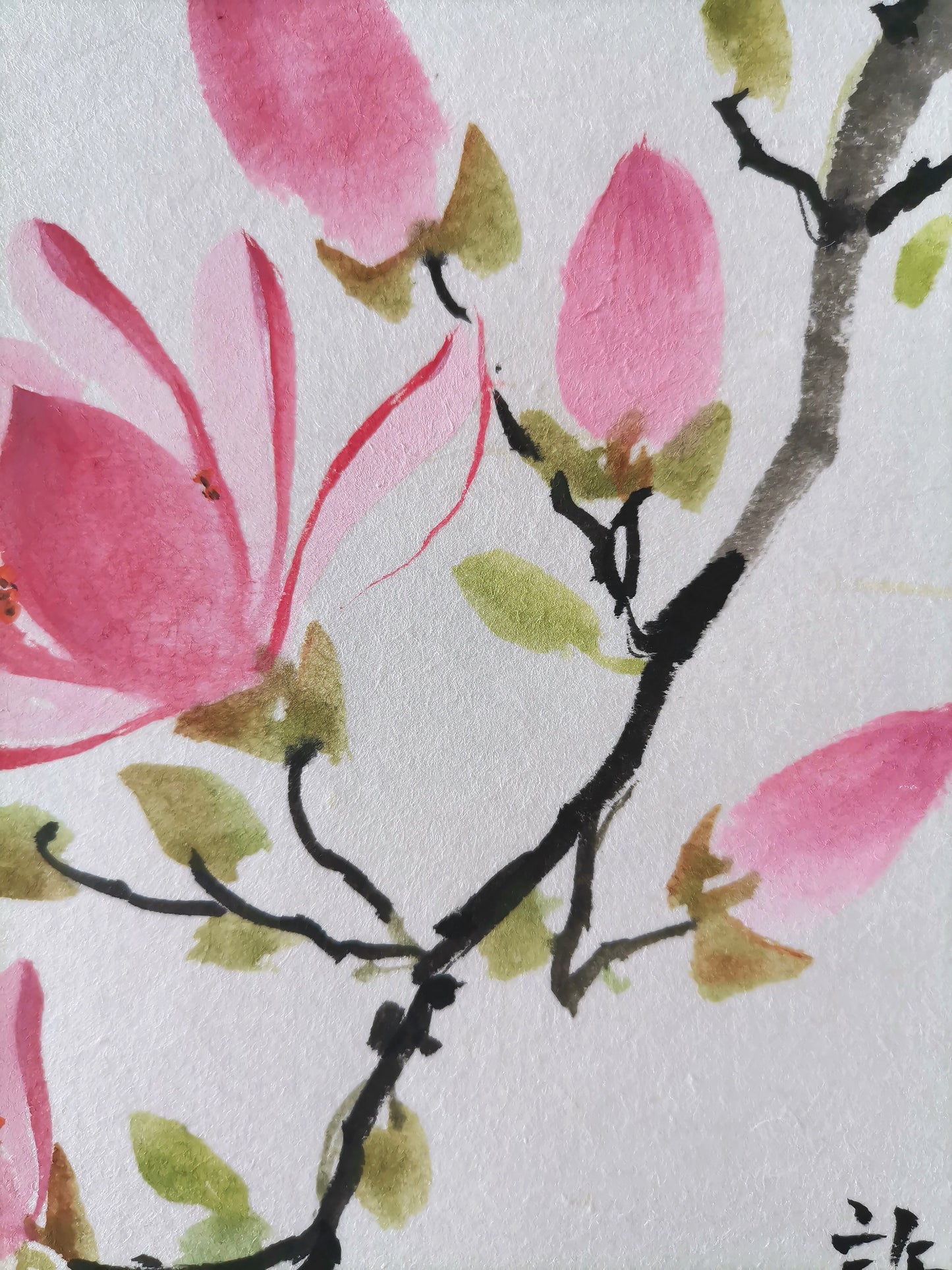 Original Traditonal Magnolia Chinese Painting, Home Decoration